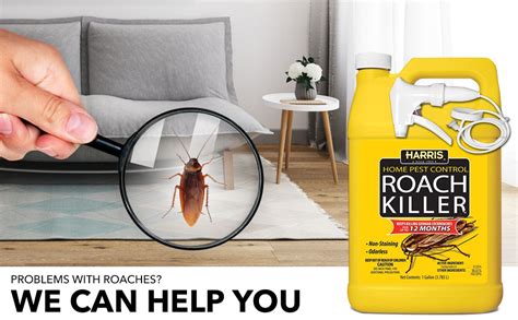 professional strength roach killer|purchase diffuser to kill cockroach.